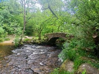 Bridge Hisley Wood